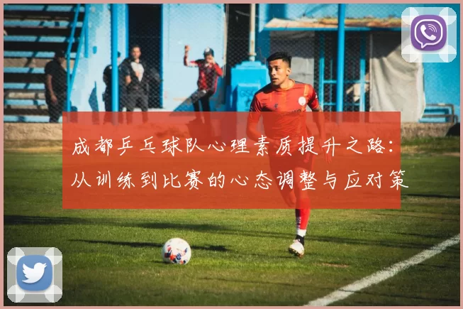 成都乒乓球队心理素质提升之路：从训练到比赛的心态调整与应对策略
