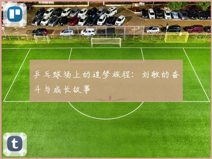乒乓球场上的追梦旅程：刘敏的奋斗与成长故事