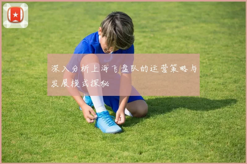 深入分析上海飞盘队的运营策略与发展模式探秘