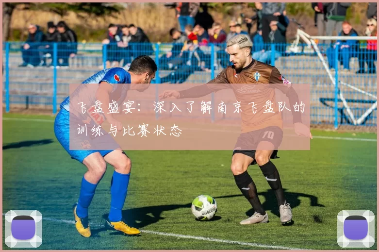 飞盘盛宴：深入了解南京飞盘队的训练与比赛状态