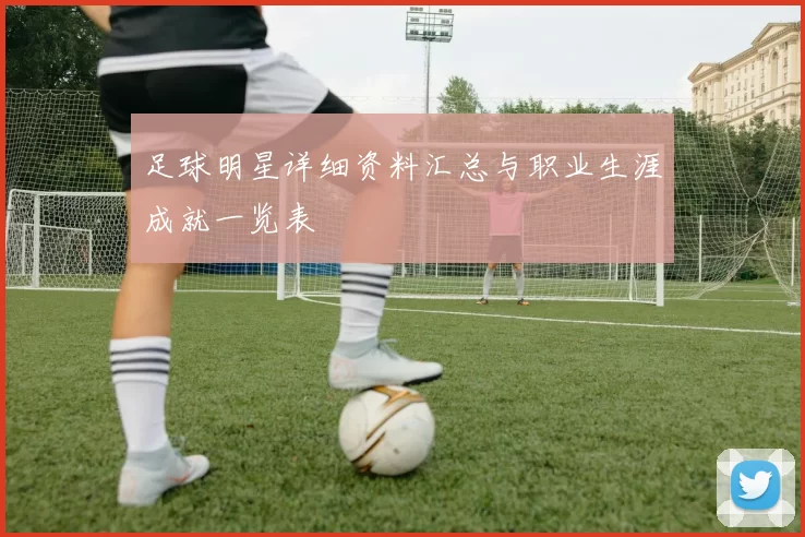足球明星详细资料汇总与职业生涯成就一览表