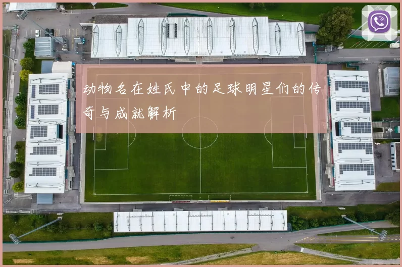动物名在姓氏中的足球明星们的传奇与成就解析