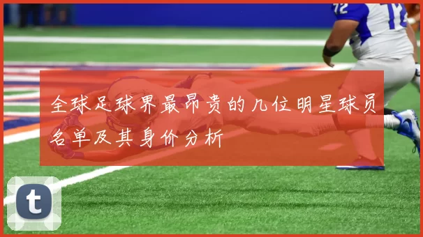全球足球界最昂贵的几位明星球员名单及其身价分析