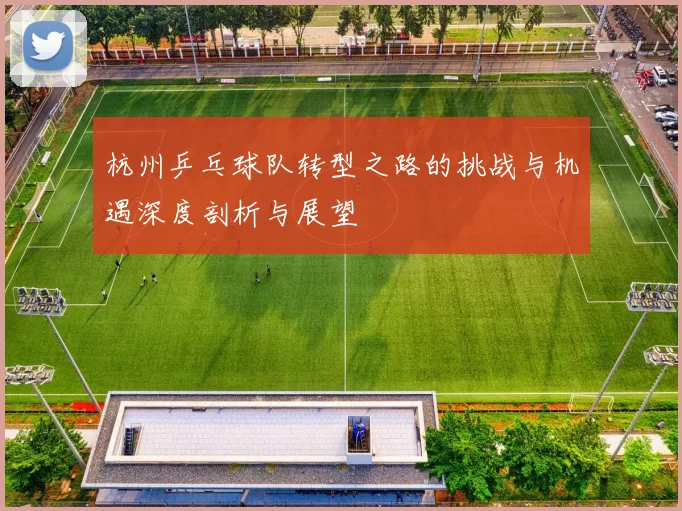 杭州乒乓球队转型之路的挑战与机遇深度剖析与展望
