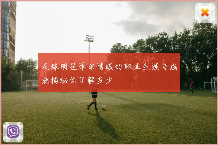 足球明星泽尔博威的职业生涯与成就揭秘你了解多少