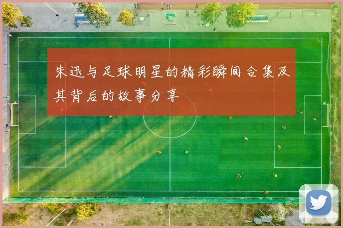 朱迅与足球明星的精彩瞬间合集及其背后的故事分享