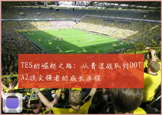TES的崛起之路：从青涩战队到DOTA2顶尖强者的成长历程