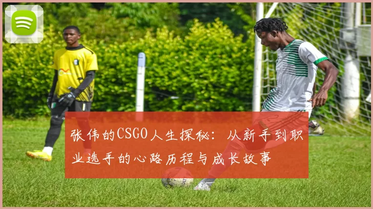 张伟的CSGO人生探秘：从新手到职业选手的心路历程与成长故事