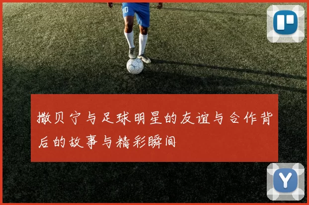 撒贝宁与足球明星的友谊与合作背后的故事与精彩瞬间
