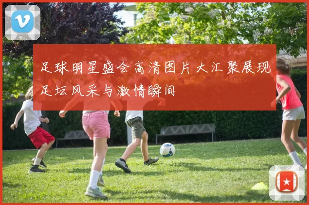 足球明星盛会高清图片大汇聚展现足坛风采与激情瞬间
