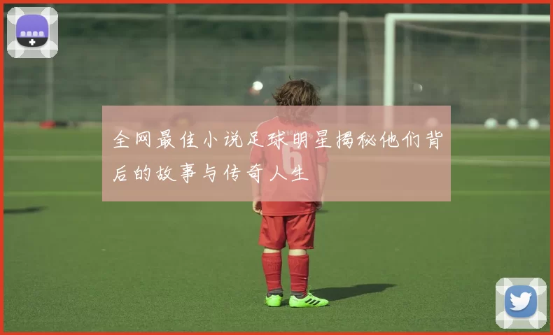 全网最佳小说足球明星揭秘他们背后的故事与传奇人生