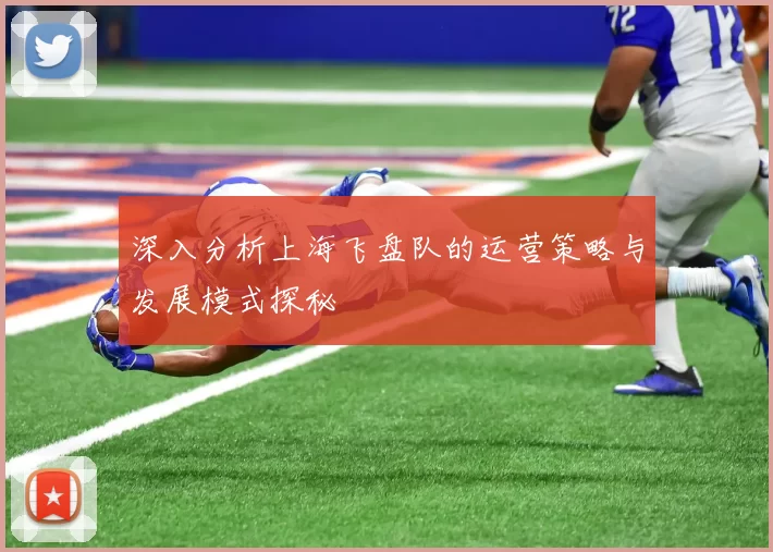深入分析上海飞盘队的运营策略与发展模式探秘