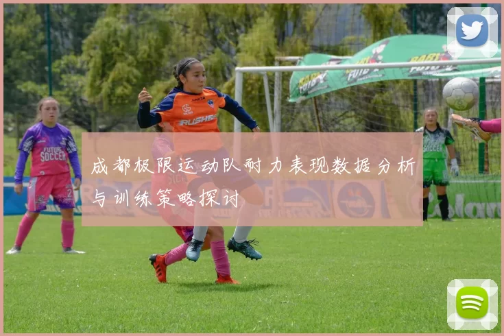 成都极限运动队耐力表现数据分析与训练策略探讨