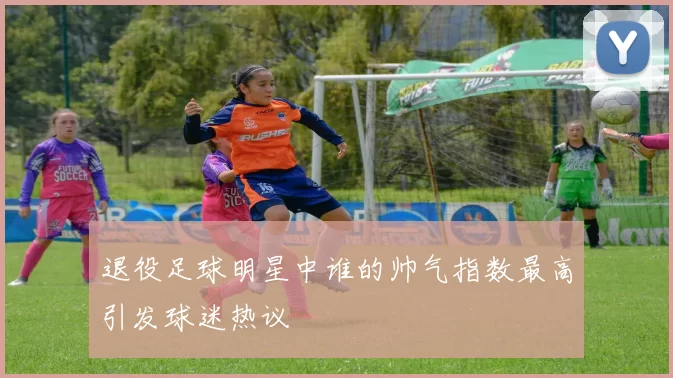 退役足球明星中谁的帅气指数最高引发球迷热议