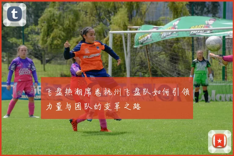 飞盘热潮席卷杭州飞盘队如何引领力量与团队的变革之路
