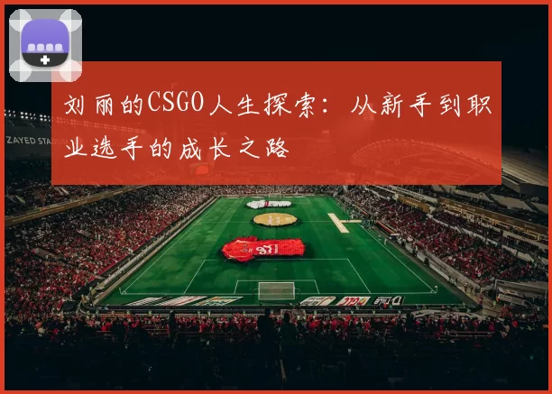 刘丽的CSGO人生探索：从新手到职业选手的成长之路