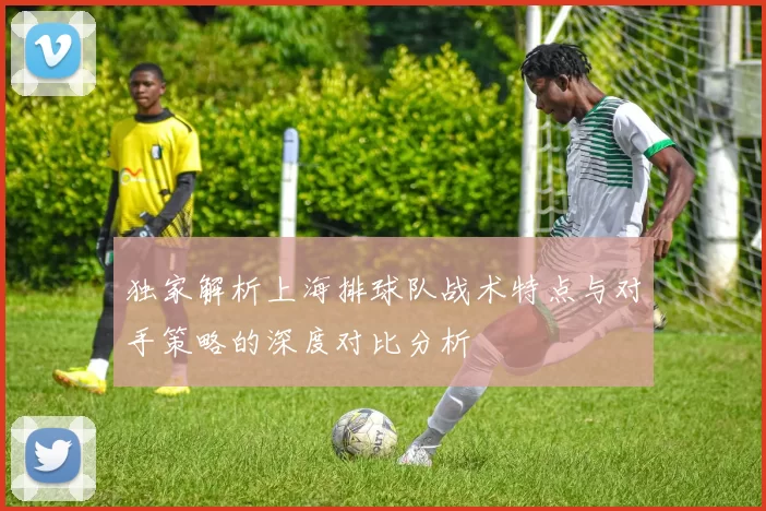 独家解析上海排球队战术特点与对手策略的深度对比分析