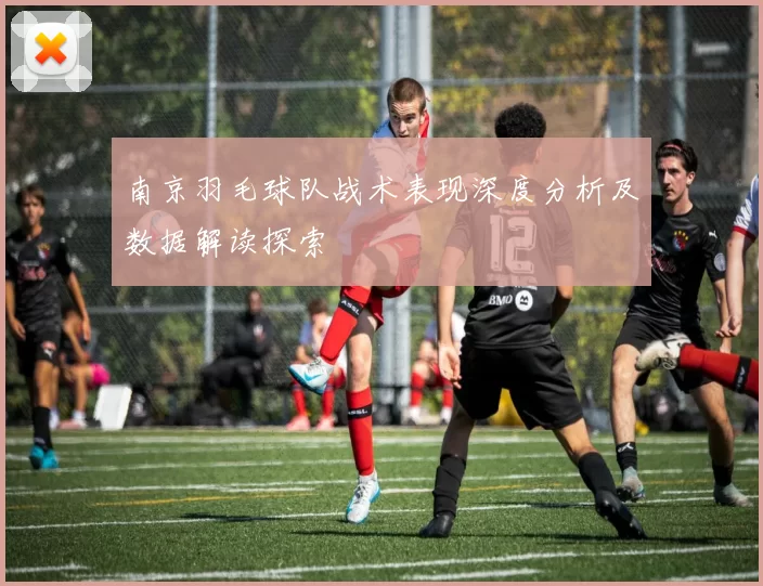 南京羽毛球队战术表现深度分析及数据解读探索