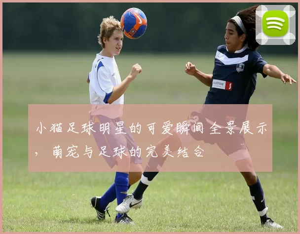 小猫足球明星的可爱瞬间全景展示，萌宠与足球的完美结合