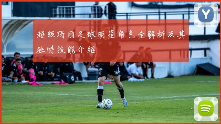 超级玛丽足球明星角色全解析及其独特技能介绍