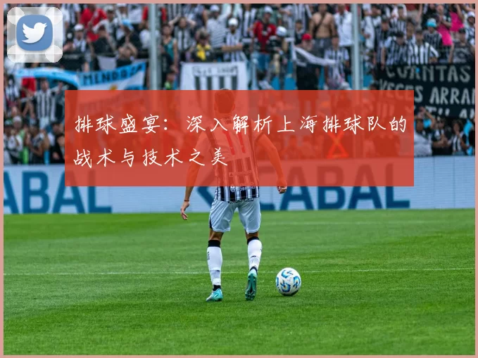 排球盛宴：深入解析上海排球队的战术与技术之美
