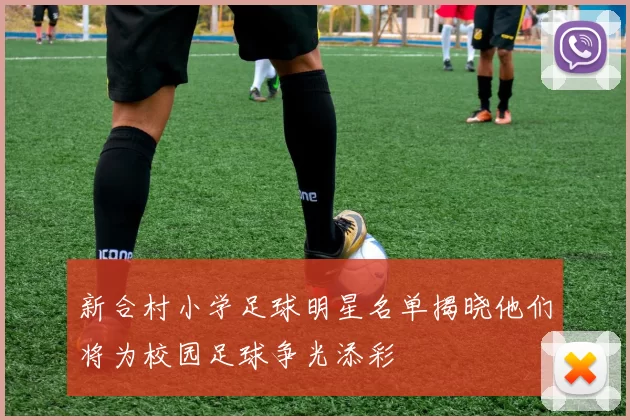 新合村小学足球明星名单揭晓他们将为校园足球争光添彩