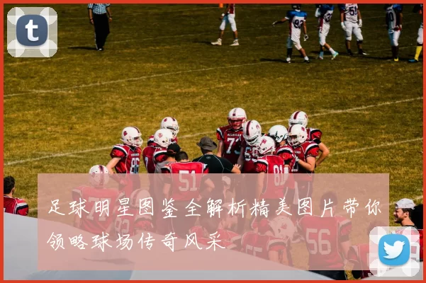 足球明星图鉴全解析精美图片带你领略球场传奇风采