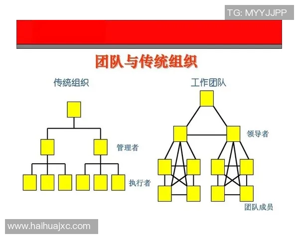 南京排球队团队协作深度解析与其他球队的对比研究 南京排球队团队协作深度解析与其他球队的对比研究