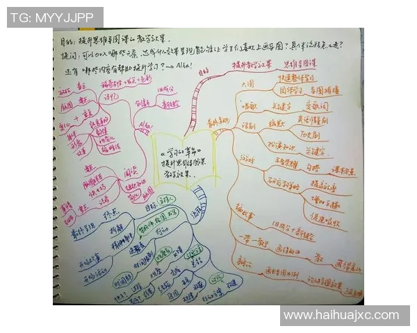 飞盘与梦想交织的旅程:吴敏的深度对话与人生启示 飞盘与梦想交织的旅程:吴敏的深度对话与人生启示