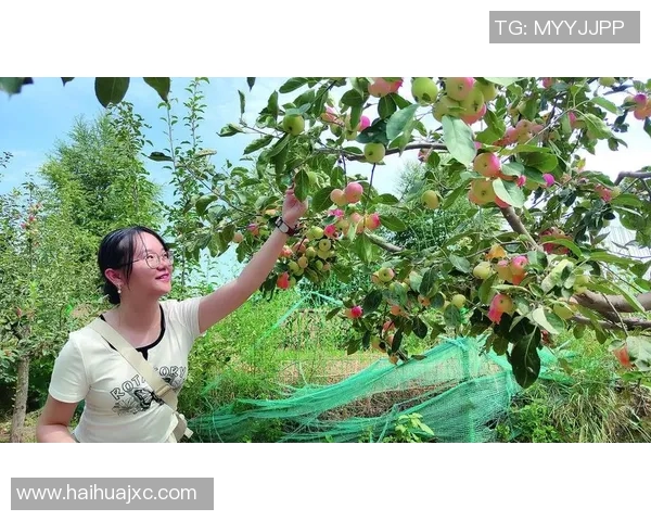 果园生态系统的可持续发展与现代农业技术创新探讨 果园生态系统的可持续发展与现代农业技术创新探讨