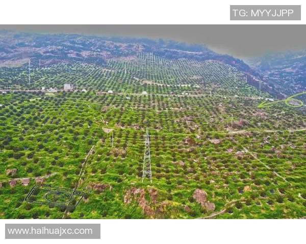 果园风光与生态种植结合的创新发展路径探索及实践意义分析 果园风光与生态种植结合的创新发展路径探索及实践意义分析