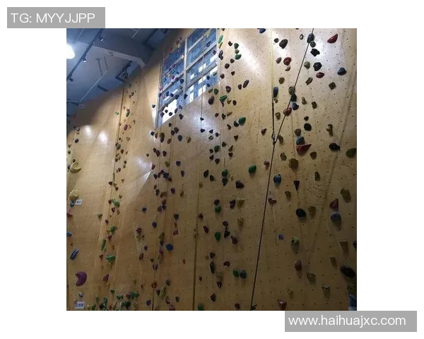 南京攀岩队战术分析与阵地战打法的深度解读与探讨